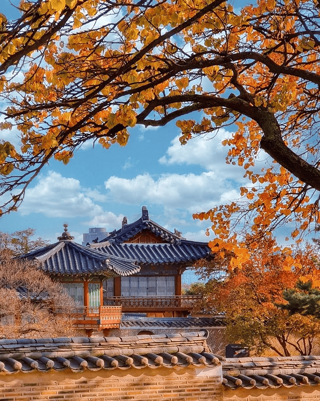 changdeokgung-palace-2.png
