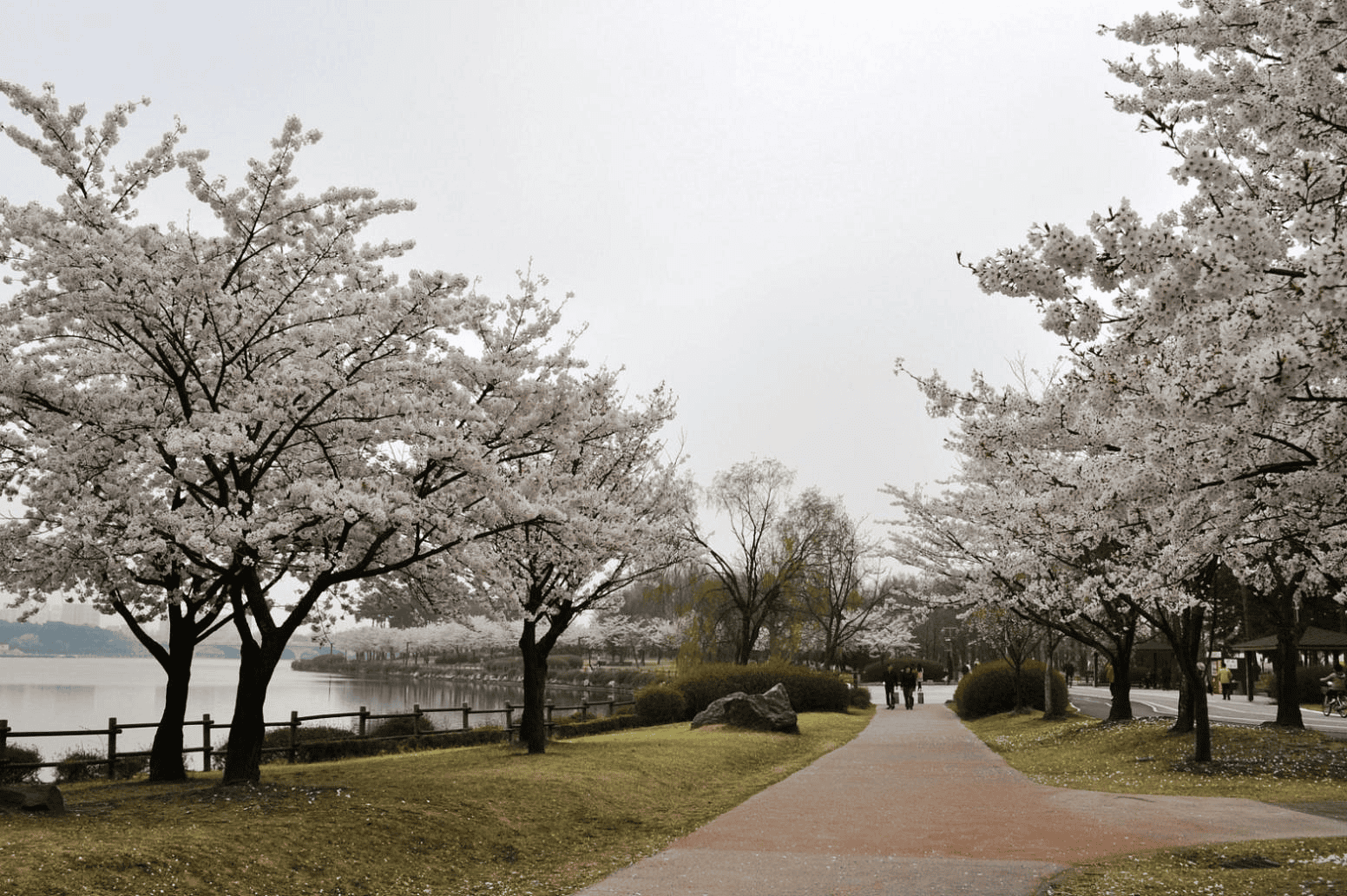 ilsan-lake-park-1.png