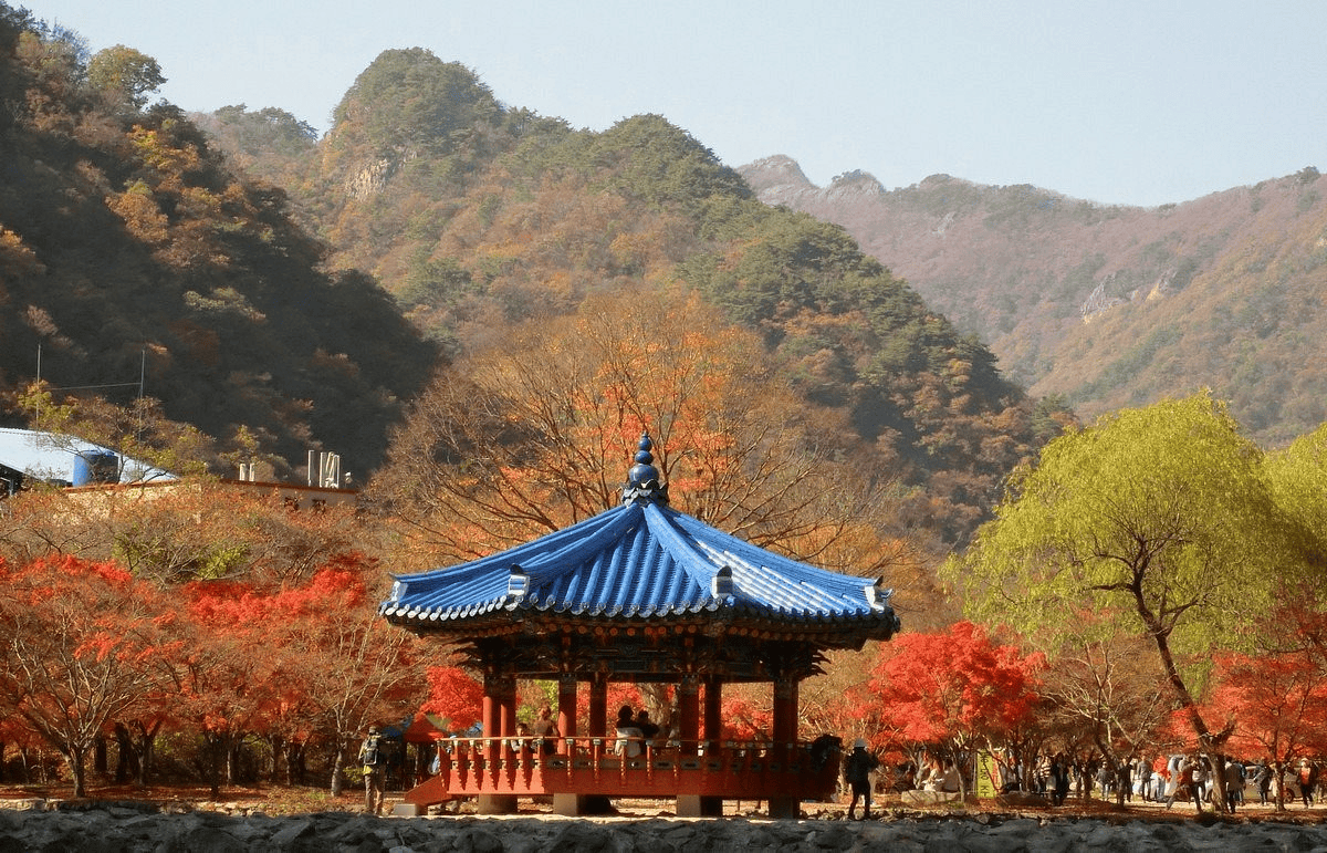 naejangsan-national-park-1.png