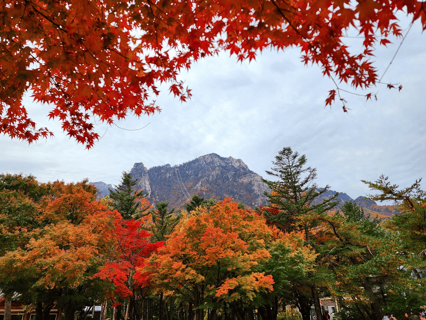 seoraksan-national-park-1.png